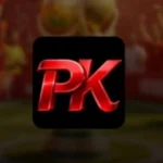 PKPLUS