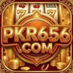 PKR656